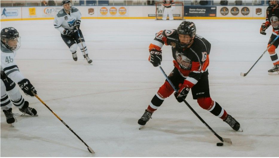 How Do Hockey Games Compare to Other Sports? 