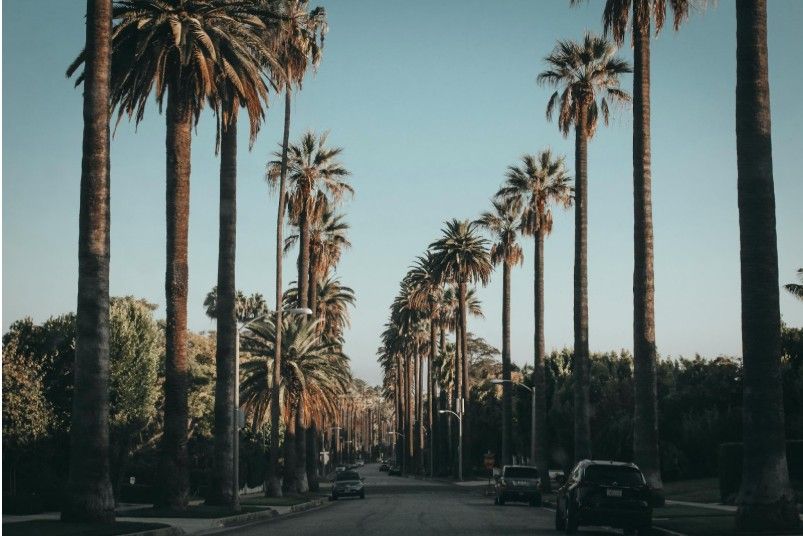 Things to Do in Beverly Hills